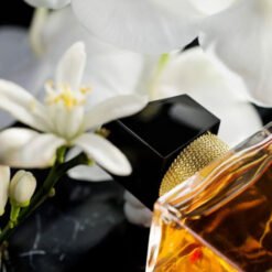 Nước hoa nữ Yves Saint Laurent Libre Le Parfum cao cấp