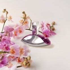 Nước Hoa Nữ Calvin Klein Euphoria EDP