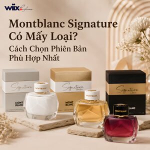 montblanc signature có mấy loại? mùi nào thơm?