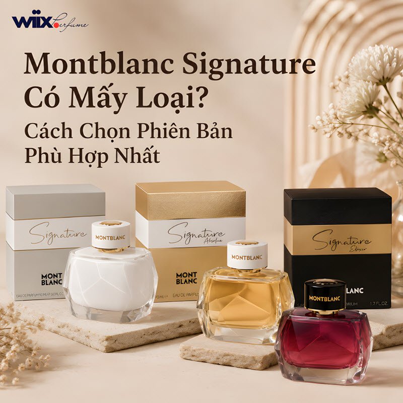 montblanc signature có mấy loại? mùi nào thơm?