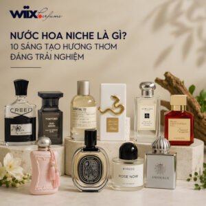 nước hoa niche là gì