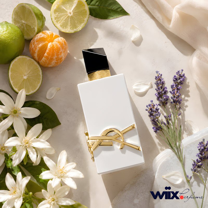 review nước hoa ysl trắng