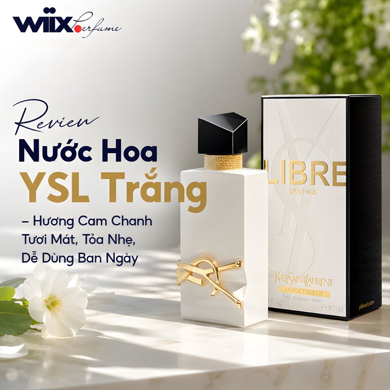 review nước hoa ysl trắng