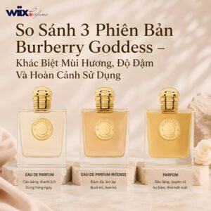 so sánh burberry goddess