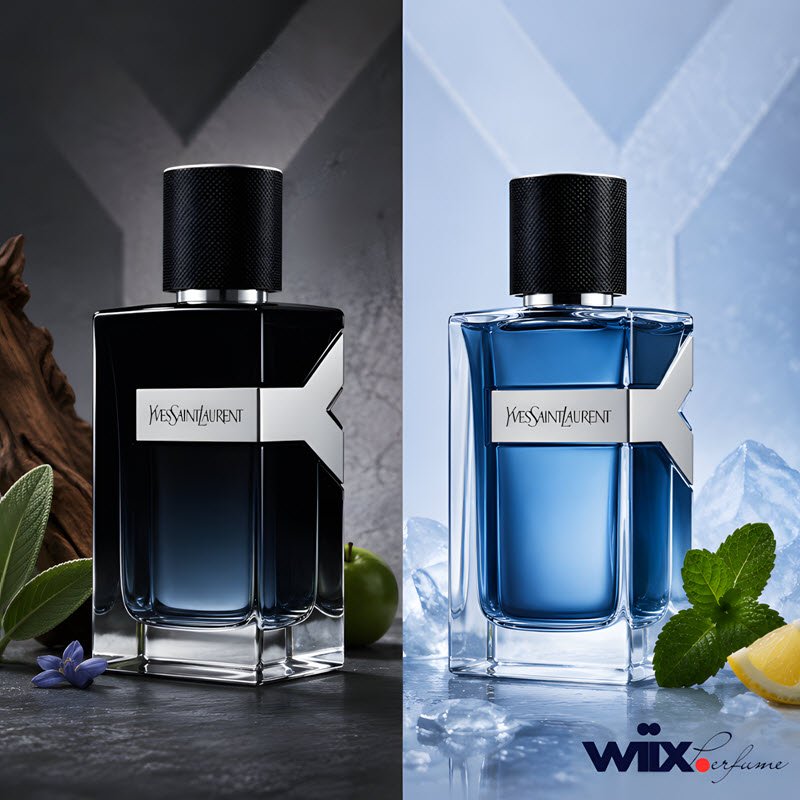 so sánh chi tiết ysl y edp 2018 và y iced cologne 2025