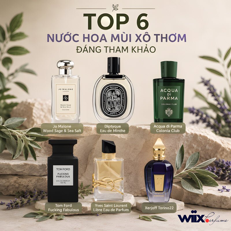 nước hoa mùi xô