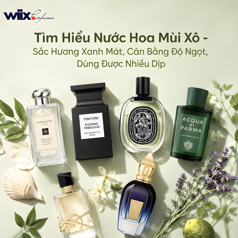 nước hoa mùi xô