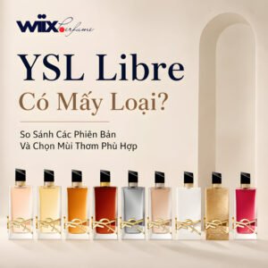 ysl libre có mấy loại? mùi nào thơm?