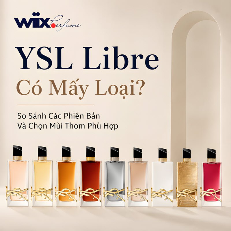ysl libre có mấy loại? mùi nào thơm?